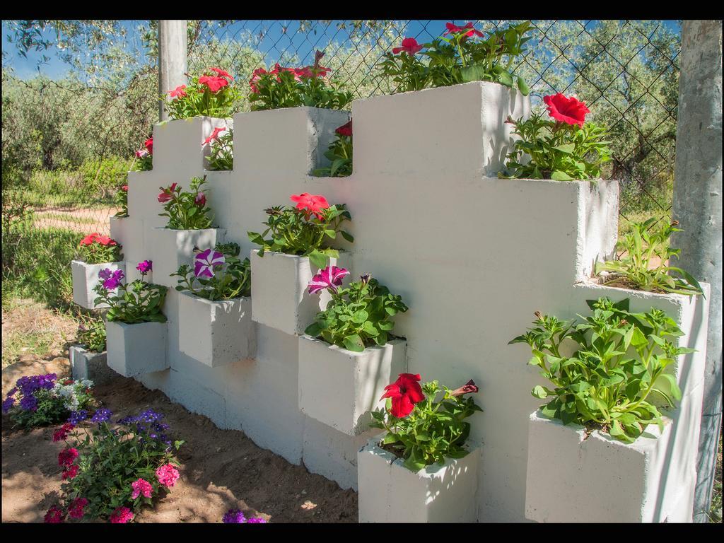 Sunray Apartments Σκάλα Σωτήρος Εξωτερικό φωτογραφία